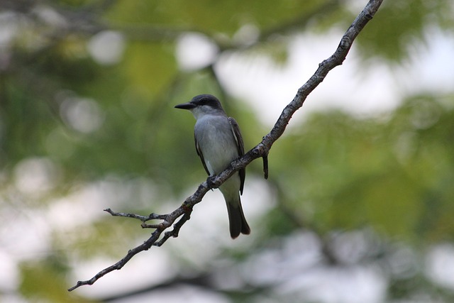 还非常重视