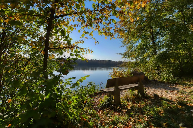 健康计划 健康计划