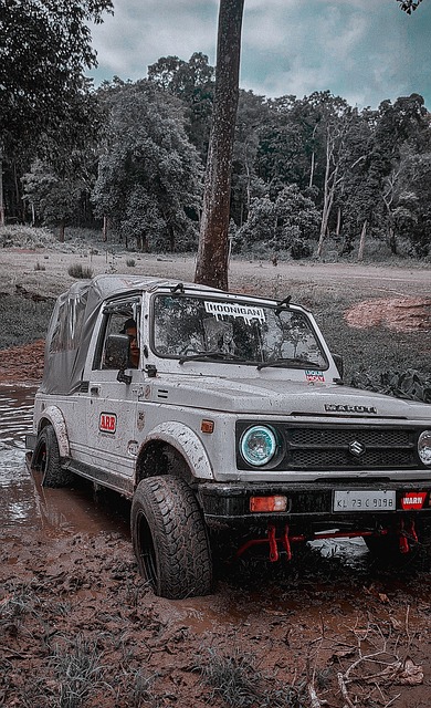 越引人注目 越引人注目