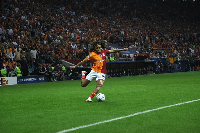 体育战略中 体育战略中