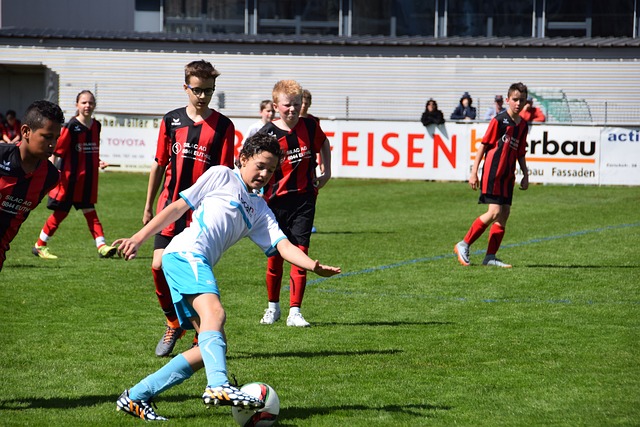 认为可能会 认为可能会