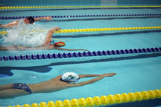 的竞技场地 的竞技场地