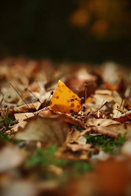 矛头指向球 矛头指向球