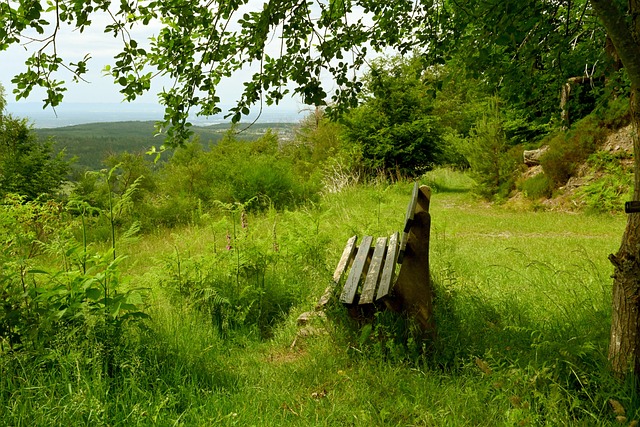 2023女足世界杯挪威簡介.