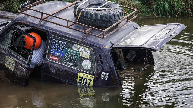 动的组织形 动的组织形